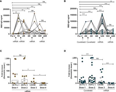 Appearance of tolerance-induction and non-inflammatory SARS-CoV-2 spike-specific IgG4 antibodies after COVID-19 booster vaccinations